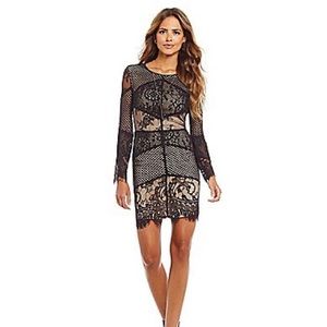 Gianni Bini Dara Scalloped Lace Overlay Dress